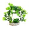 Sydeco Arch Plants H 21 cm