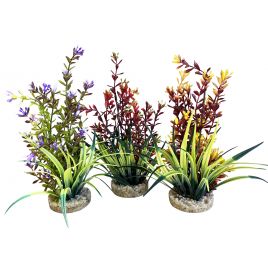 Sydeco Flowering Plants H 24 cm 9,60 €