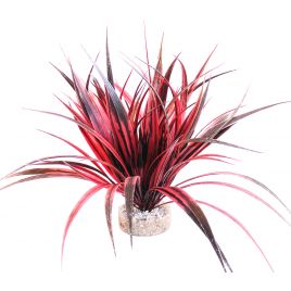 Sydeco Amazonia H 22 cm  