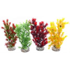 Sydeco Jungle Medium H 28 cm lot de 4 plantes  