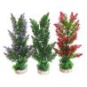 Sydeco Aquaplant X-Large H 35 cm lot de 3 plantes