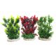 Sydeco Hedge H 24 cm 10,00 €