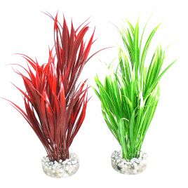 Sydeco Sword Plant H 25 cm lot de 2 plantes