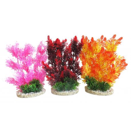 Sydeco Aquaplant Color Hedge H 24 cm 12,90 €