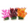 Sydeco Aquaplant Color Hedge H 24 cm