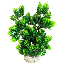 Sydeco Club Moss Large H 24 cm 