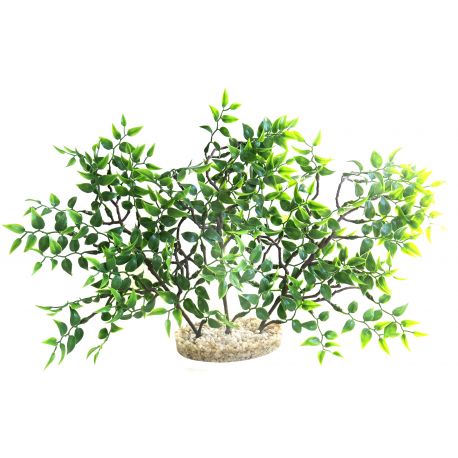 Sydeco Mangrove River H 26 cm  15,10 €