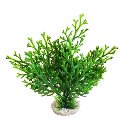 Sydeco Microsorum Plant H 28 cm  8,56 €