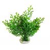 Sydeco Microsorum Plant H 28 cm 