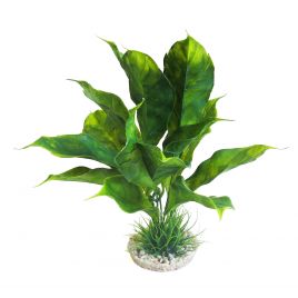 Sydeco Anubias Plant H 28 cm  17,65 €