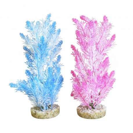 Sydeco Ice Colour Plant H 24 cm 7,40 €