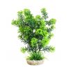 Sydeco Cabomba Plant H 27 cm