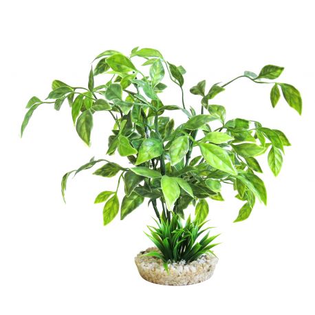 Sydeco Echinodorus Plant H 31 cm  10,60 €