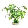 Sydeco Echinodorus Plant H 31 cm 