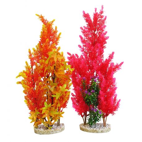 Sydeco Aquaplant Color Giant H 46 cm  21,40 €