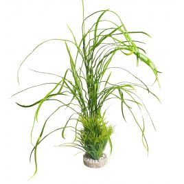 Sydeco Lily Grass Maxi H 45 cm 
