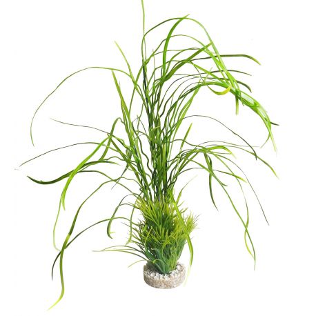 Sydeco Lily Grass Maxi H 45 cm 
