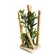 Sydeco Bamboo Large Plants H 25 cm 7,60 €