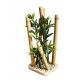 Sydeco Bamboo Large Plants H 25 cm