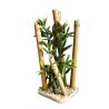 Sydeco Bamboo Large Plants H 25 cm