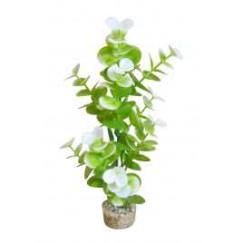 Sydeco Aqua Eucalyptus H 23 cm 