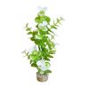 Sydeco Aqua Eucalyptus H 23 cm