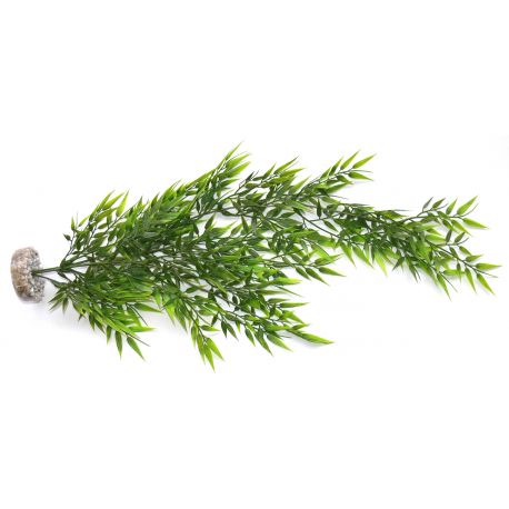 Sydeco Chute Bamboo Flexible Giant H 55 cm