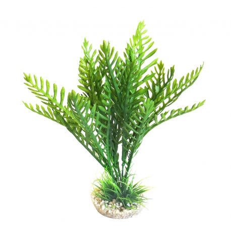 Sydeco Aponogeton / Hottonia Mix H 26-31 cm