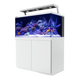  Max® S-500 LED - 3 ReefLED - Blanc + 10% en bon d'achats coraux,poissons