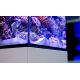 Max® Nano Cube Complet (aqua + meuble) - Noir système récifal complet Plug & Play® de 75 L + 10% en bon d'achats coraux,poiss...