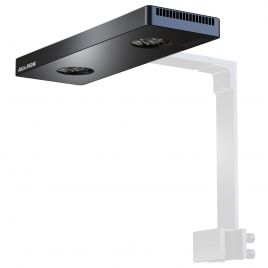 Aqua Medic spectrus twin Luminaire LED d'aquarium innovant pour aquariums d'eau de mer avec contrôle par application 675,00 €