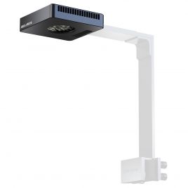 Aqua Medic spectrus Luminaire LED d'aquarium innovant pour aquariums d'eau de mer avec contrôle par application 475,00 €