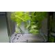 BL-3 - Breedingbox - Perfect for breeding fish and shrimp 26,95 €