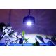 Kessil LED A360X Tuna Blue 451,95 €