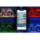 Kessil LED A500X 799,95 €