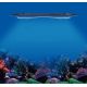 Kessil LED AP9X 913,70 €