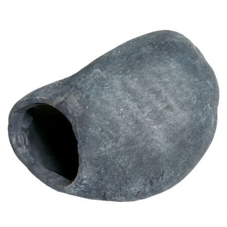 Superfish fish cave 1 