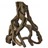 Superfish  mangrove root l