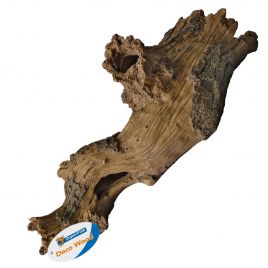 Superfish  log wood l