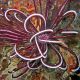 Himerometra robustipinna - Crinoïde rouge 8-10cm 53,50 €