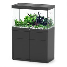 Aquatlantis aquarium SUBLIME 100 x 50 x 60cm éclairage LED + bon d'achat 10% plantes-poissons