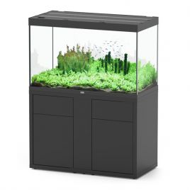 Aquatlantis aquarium SUBLIME 120 x 60 x 75cm éclairage LED + bon d'achat 10% plantes-poissons