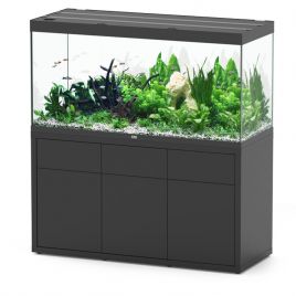 Aquatlantis aquarium SUBLIME 150 x 60 x 75cm éclairage LED + bon d'achat 10% plantes-poissons