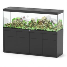 Aquatlantis aquarium SUBLIME 200 x 60 x 75cm  éclairage LED + bon d'achat 10% plantes-poissons 2 593,00 €