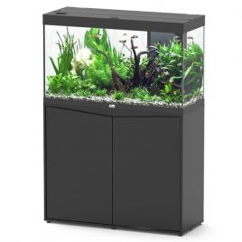 Aquatlantis aquarium Splendid 100 (100x40x61cm) éclairage LED + bon d'achat 10% plantes-poissons