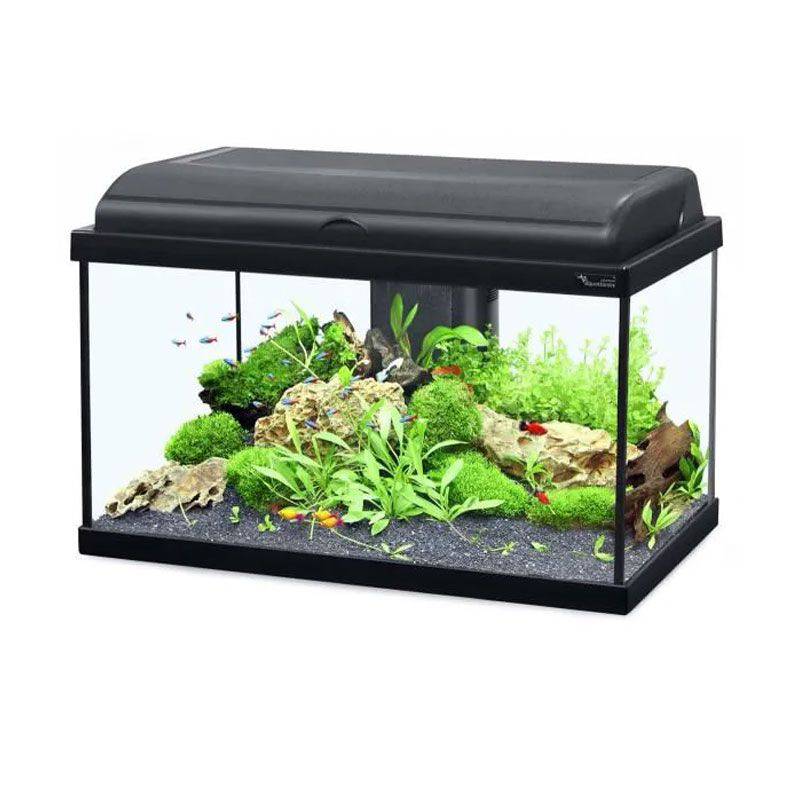 RR-YRN Kit De Mini Aquarium (avec Lumières, Pompe À Eau Et Filtre