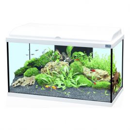 Aquatlantis Aquadream 60 complet avec filtre Biobox et éclairage LED