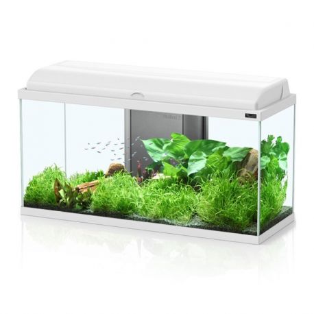 Aquatlantis Aquadream 80 complet avec filtre Biobox et éclairage LED 176,95 €