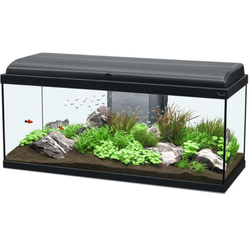 Aquarium 100 litres