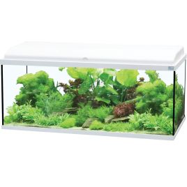 Aquatlantis Aquadream 100 complet avec filtre Biobox et éclairage LED 198,15 €